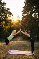 Two women practicing partner yoga outdoors at sunset, standing on yoga mats and touching palms. Wellness, balance, trust, and healthy lifestyle concept in nature.