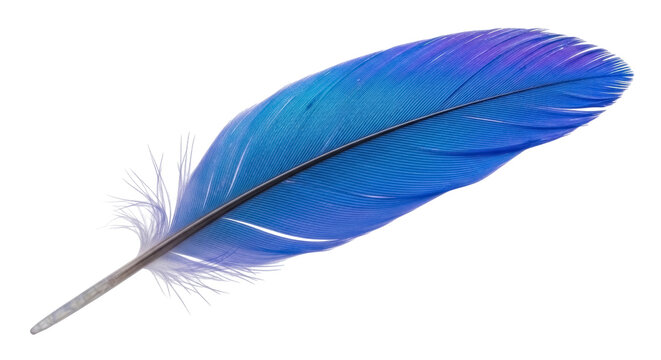 Vibrant blue and purple feather PNG isolated on transparent background, elegant plumage for design projects and creative compositions