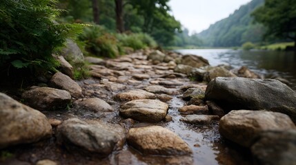A serene wet rocky path beside a flowing river bordered by lush greenery and trees