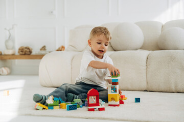 Young boy with light brown hair stacking colorful building blocks on a soft rug in a bright living room with a cozy sofa and natural light