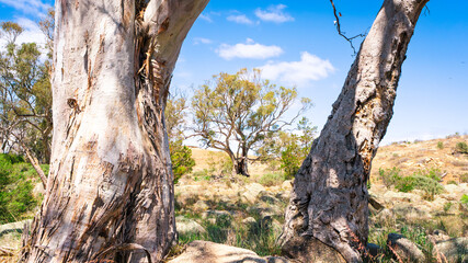 Mannum Falls, South Australia, Adelaide Hills