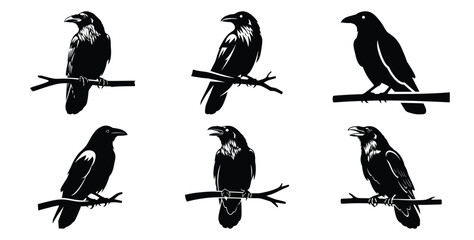 Fototapeta premium Set of halloween raven on branch silhouettes black icon Vector illustration and isolated on white background.