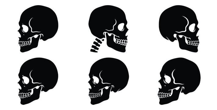 Set of halloween skeleton skull side view silhouettes black icon Vector illustration and isolated on white background.