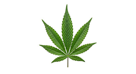 Drugs and Substances Isolated on White Background &ndash; Editorial Cutout Collection