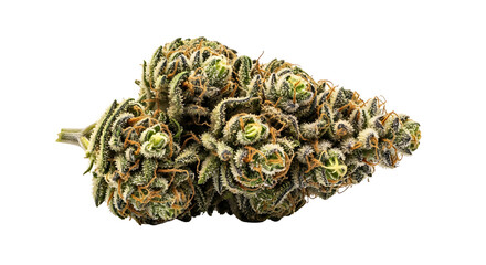 Drugs and Substances Isolated on White Background &ndash; Editorial Cutout Collection