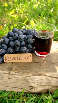 Resveratrol supplements and homeopathy. Selective focus.