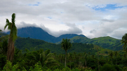Tropical mountain landscape with palm trees and lush green hills. Cloudy sky hangs over forested slopes creating a calm natural scenery in a remote tropical region.