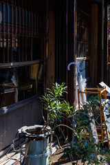 レトロな木造店舗の入り口と観葉植物（古民家カフェ風）