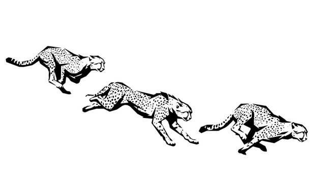Geometric polygonal silhouette sequence of a running cheetah. Abstract vector illustration.
