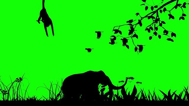 Animation of Silhouettes of Elephant, monkey trees and birds flying on green background No Ai