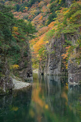 日本　広島県山県郡安芸太田町にある峡谷、三段峡の黒淵の岩壁と紅葉した木々