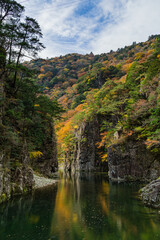 Fototapeta premium 日本 広島県山県郡安芸太田町にある峡谷、三段峡の黒淵の岩壁と川沿いの紅葉した木々