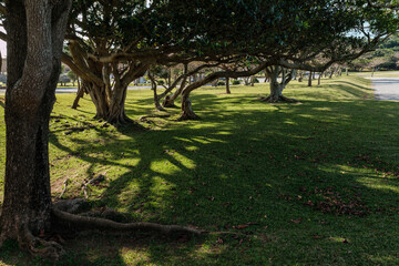 沖縄で見つけた風景。平和への想いを新たに