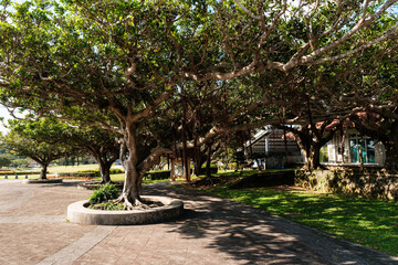 沖縄で見つけた風景。平和への想いを新たに