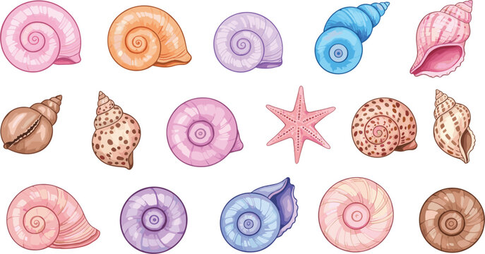 Beautiful collection of pastel sea shells and starfish featuring spiral snails nautilus and conch shapes for beach summer decor and marine life.