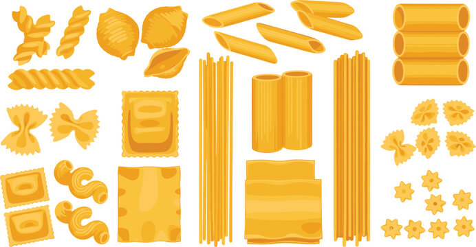 Large collection of dry Italian pasta types including penne fusilli farfalle ravioli and spaghetti for cooking and restaurant design
