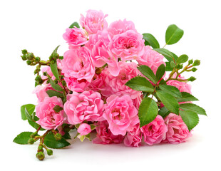 Bouquet of small pink roses isolated on white background
