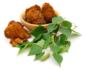 Chaga mushroom pieces in a wooden bowl with birch branch isolated on white