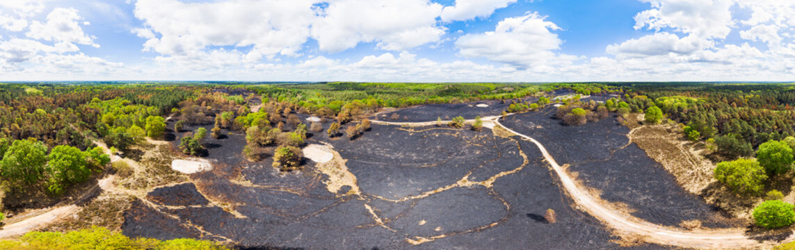 Aerial view of totally burnt heather field between partly burnt trees, one week after a devastating forest fire in April 2020, in 360 degrees panorama, national park De Meinweg, Limburg, Netherlands.