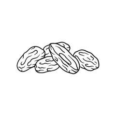 hand drawing dates fruit illustrations