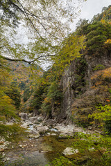 Obraz premium 日本 広島県山県郡安芸太田町にある峡谷、三段峡の天狗岩と紅葉した木々