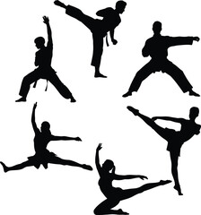 Martial arts fighter silhouettes performing karate and taekwondo moves isolated on white background, dynamic combat training illustration for sport, fitness