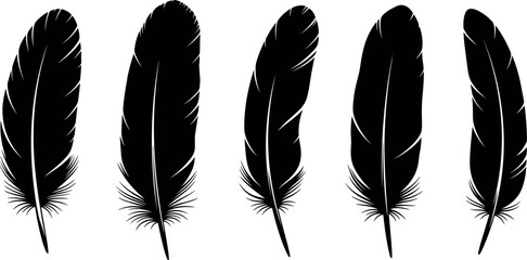 Feather silhouette illustration, bird feather vector, black and white artwork, decorative design sketch, minimal feather outline, nature symbol drawing, stylized feather art © Masud World