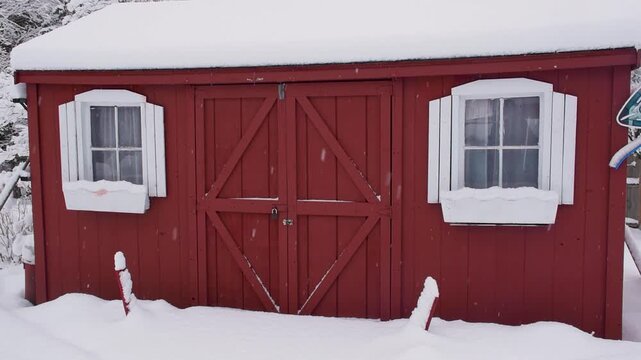 Red wooden shed with barn doors and windows with white shutters during a snow squall. Snow flakes falling in front of a red shed on a snowy day