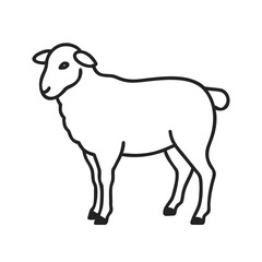 Fototapeta premium Minimal line art farm sheep vector illustration in clean outline style. Full body lamb standing, side view, isolated on white background. Clean monochrome contour drawing.