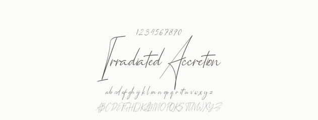 Fototapeta premium Signature Font Uppercase Lowercase And Number. Script Font Calligraphy Logotype elegant Font Type Font lettering handwritten. vector illustration
