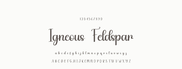 Fototapeta premium Elegant Script Font Alphabet Typography. Signature Font Calligraphy Logotype Script Brush Font Type Font lettering handwritten.