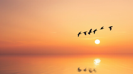 Fototapeta premium A flock of birds fly over a calm ocean at sunset