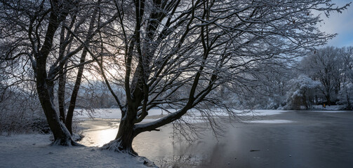 Schneelandschaft mit B&auml;umen in Hamburg Wandsbek an der Wandse