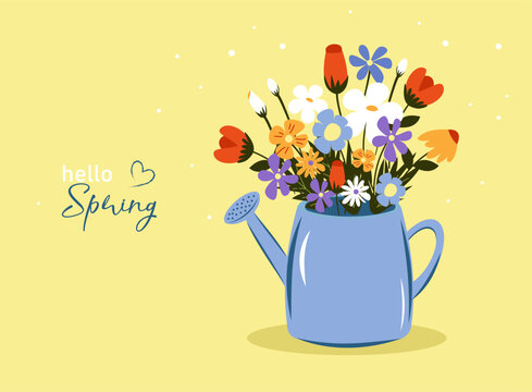 A poster, postcard, or banner with the beautiful inscription "Hello Spring." A floral arrangement of daisies, roses, and tulips in a watering can. A bright, spring-inspired floral design. Can be used 