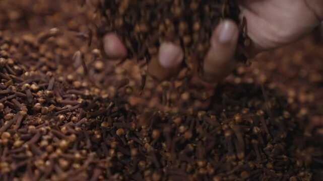 a man holds large quantity of brown cloves are piled on a surface for display.