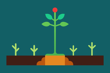 Large Plant Growing from Soil Surrounded by Sprouts