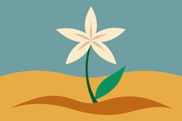 Single White Star Flower in Sandy Landscape abstract