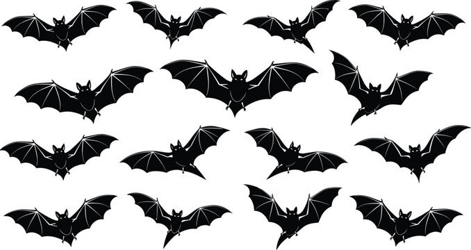 Flying bat silhouettes pattern collection featuring spooky nocturnal animals, Halloween horror theme, black vector illustrations for dark background designs isolated on white background