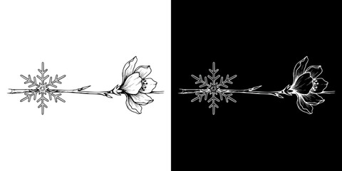 Branch displaying a snowflake and a blooming flower, concept of Spring Equinox, isolated vector image, two design options on transparent and black backgrounds, pencil drawing, chalk drawing  