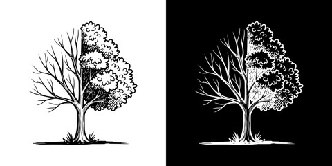 Tree with one side bare and the other side leafy, Spring Equinox, isolated vector image, two design options on transparent and black backgrounds, pencil drawing, chalk drawing  