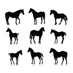 horse silhouettes vector