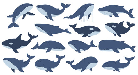 Collection of various whale species illustrations in dark blue hues. © Abhinaya Project