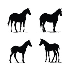 horse silhouettes vector