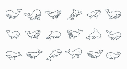 Collection of simple line drawings of various whales and dolphins. © Abhinaya Project