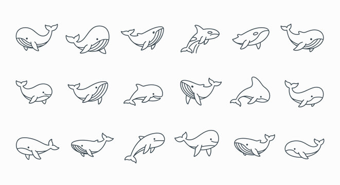 Collection of simple line drawings of various whales and dolphins.