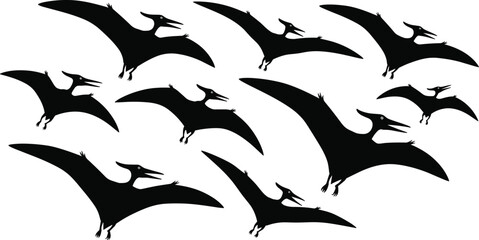 Pterodactyl dinosaur silhouettes flying in various poses, prehistoric reptile wildlife collection, isolated black vector illustration for paleontology and fantasy design © Jakir