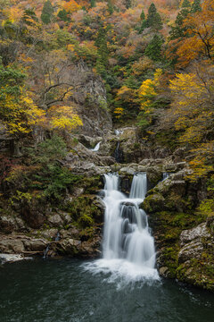 日本　広島県山県郡安芸太田町にある峡谷、三段峡の三段滝と紅葉した木々