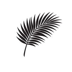 Obraz premium Black Palm Frond Silhouette Vector