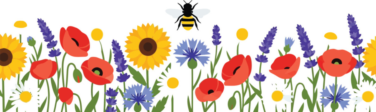 Wildflower meadow with bee vector clipart, colorful summer flowers illustration border
