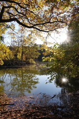 Maunzenweiher mit Sonne